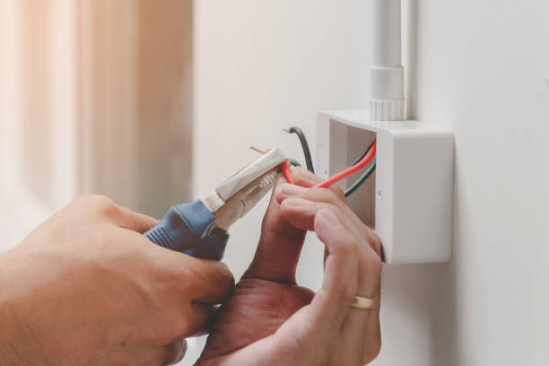 Best Electrical Remodeling Services  in Dillingham, AK